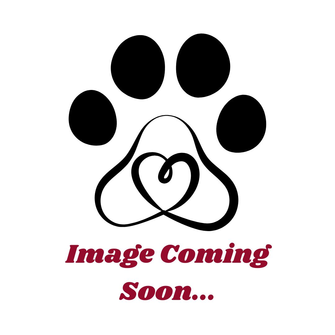 Team Member's Photo Coming Soon