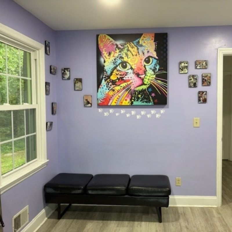 Renovations are now complete