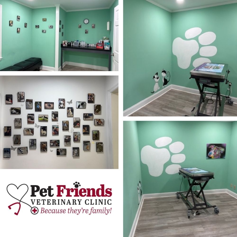Excited to share our updated clinic Excited to share our updated clinic
