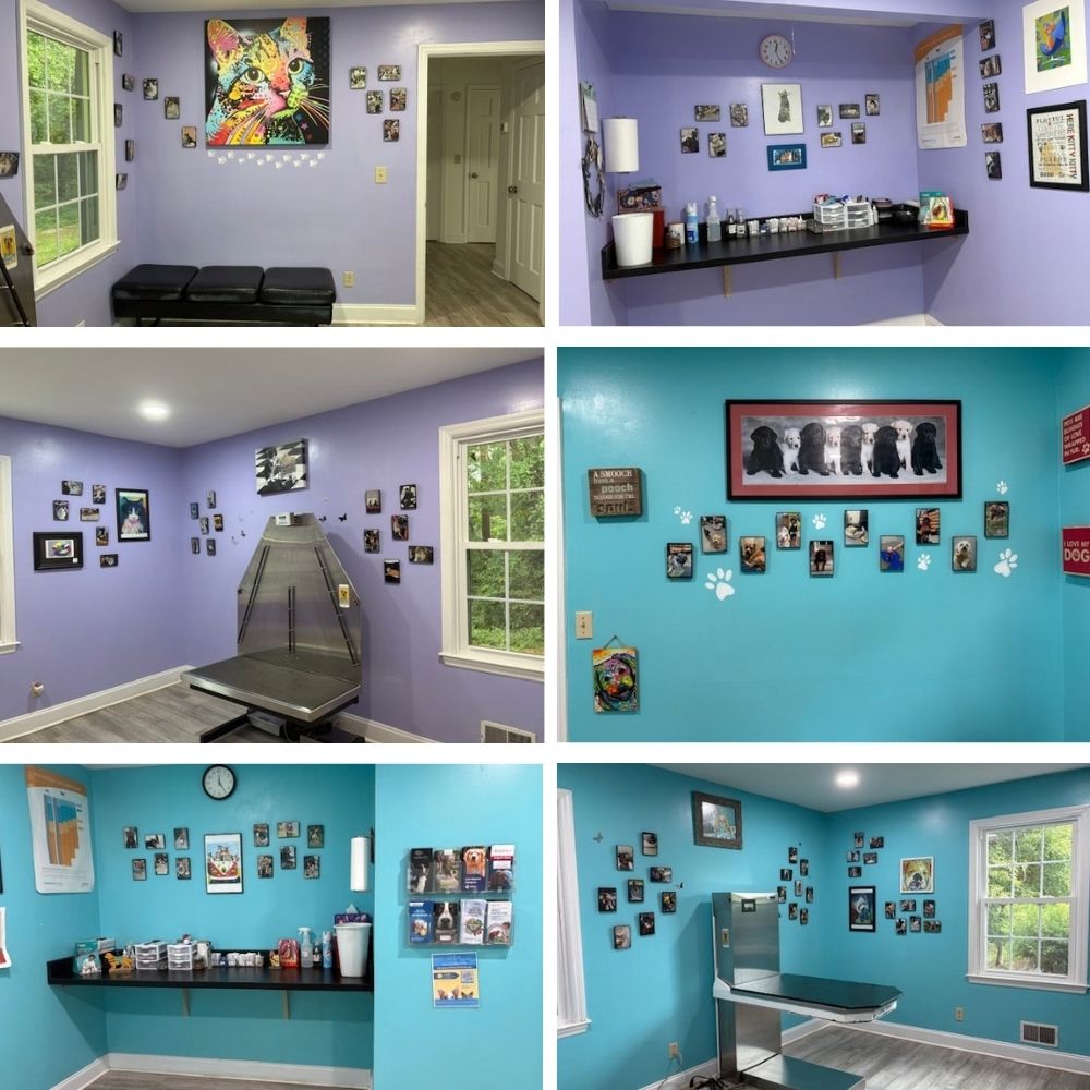 Excited to share our updated clinic Excited to share our updated clinic
