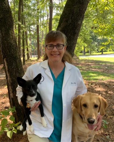 Dr. Ellen Huse
